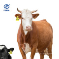 Étiquette d&#39;oreille électrique RFID LF pour les bovins de vache